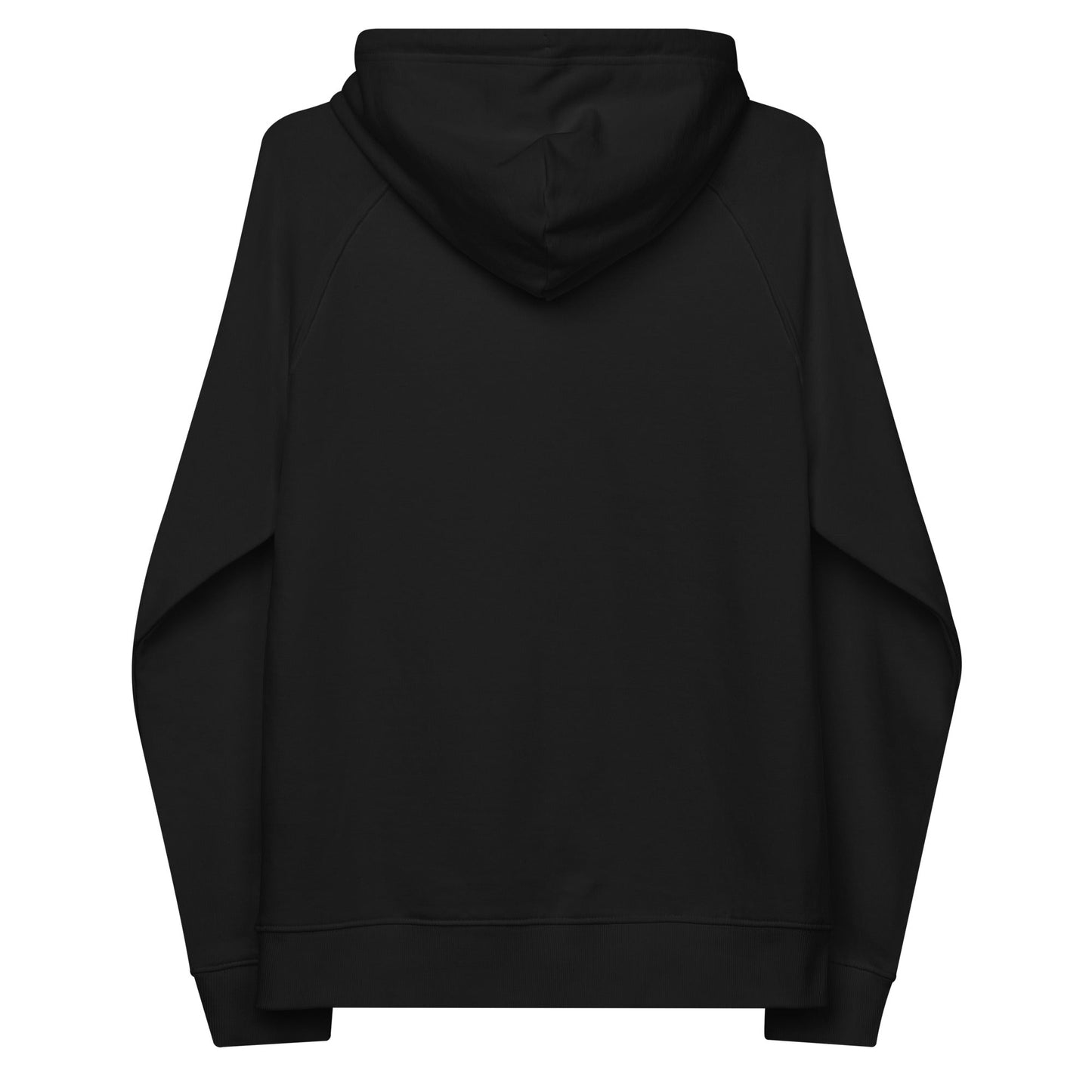 unlearn-relearn-hoodie-l3 unisex-eco-raglan-hoodie-black-back-647547b169f25.jpg