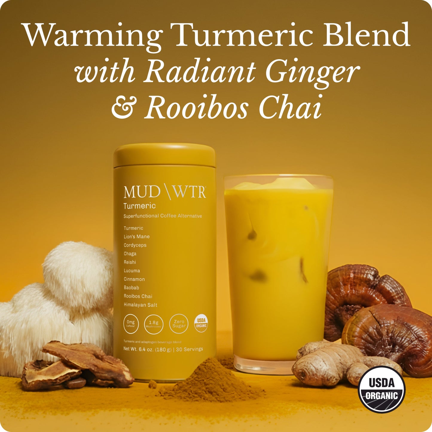 turmeric-30-serving-g0 Turmeric_image_01.jpg