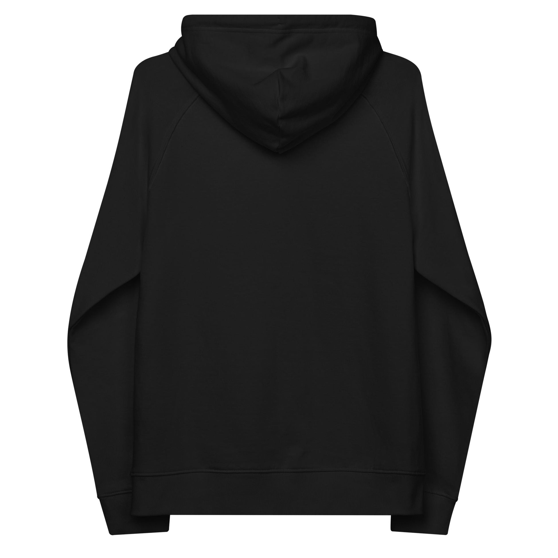 unlearn-relearn-hoodie-l3 unisex-eco-raglan-hoodie-black-back-647547b169f25.jpg